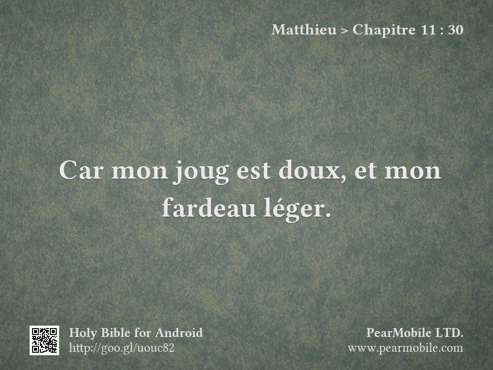 Matthieu, Chapitre 11:30